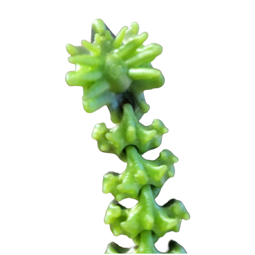 Lille Edderkop drage